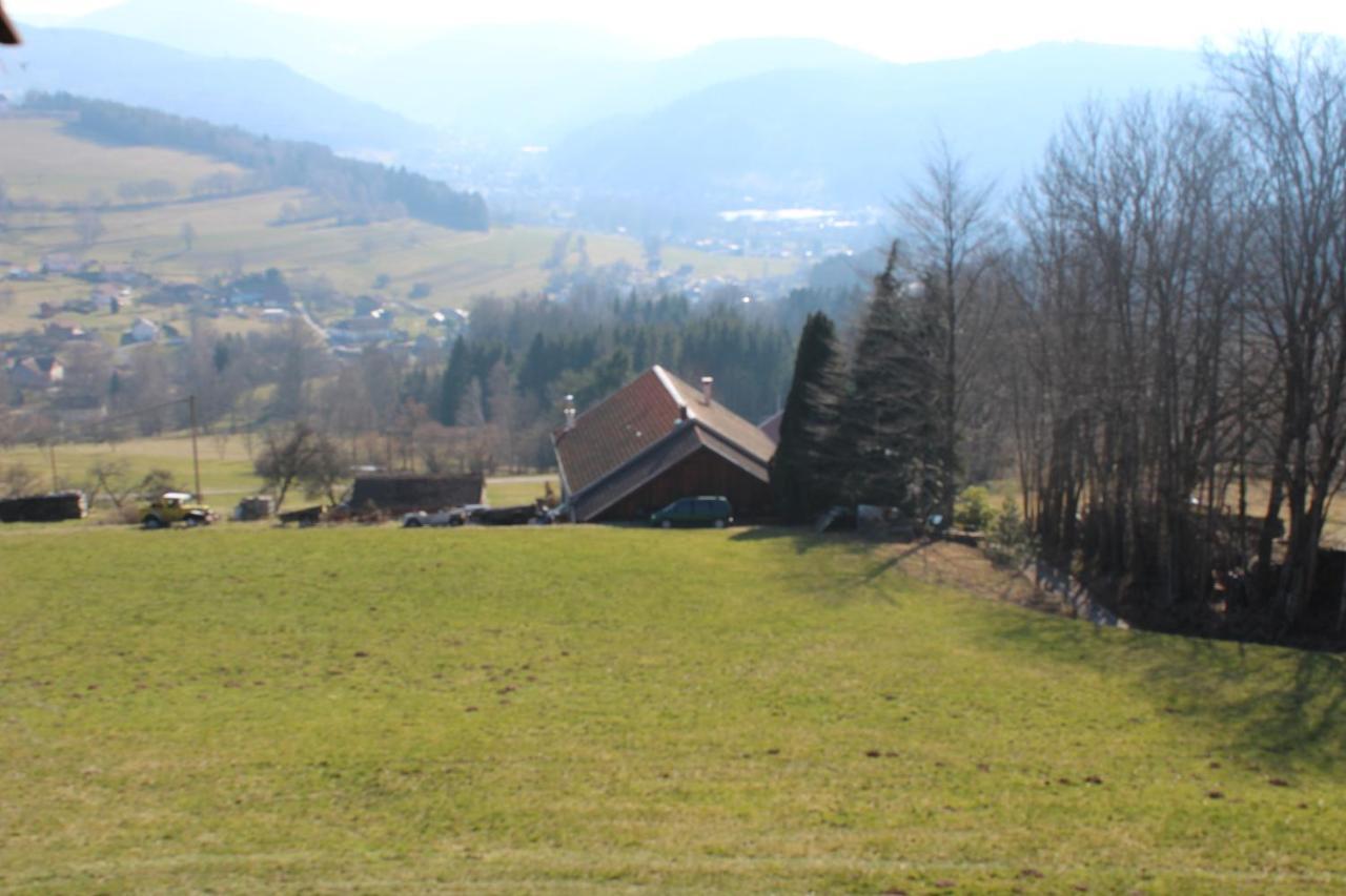 Appartement Mitoyen Dans Fraize